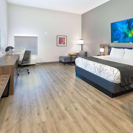 La Quinta Inn & Suites By Wyndham Dallas/Fairpark Buitenkant foto